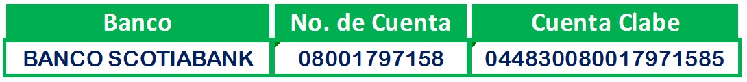 Quienes somos
